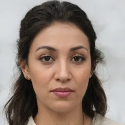Võ Lan Chi